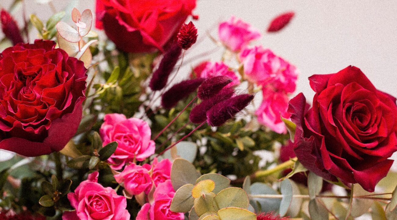 Rosas rojas por San Valentín ¿Qué tipo elijo?